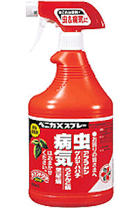 植物の病気 うどんこ病 富山県 エクステリア 外構 庭工房sekitoh