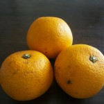 香川のはっさく