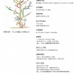 剪定