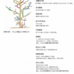 剪定