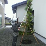 安全作業