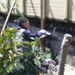 現場５