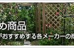 おすすめ商品